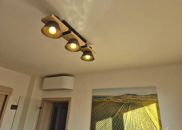 Apartman Vital Na Palave - Ubytovani & Zivotni Restart